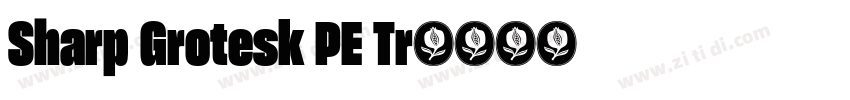 Sharp Grotesk PE Tr字体转换